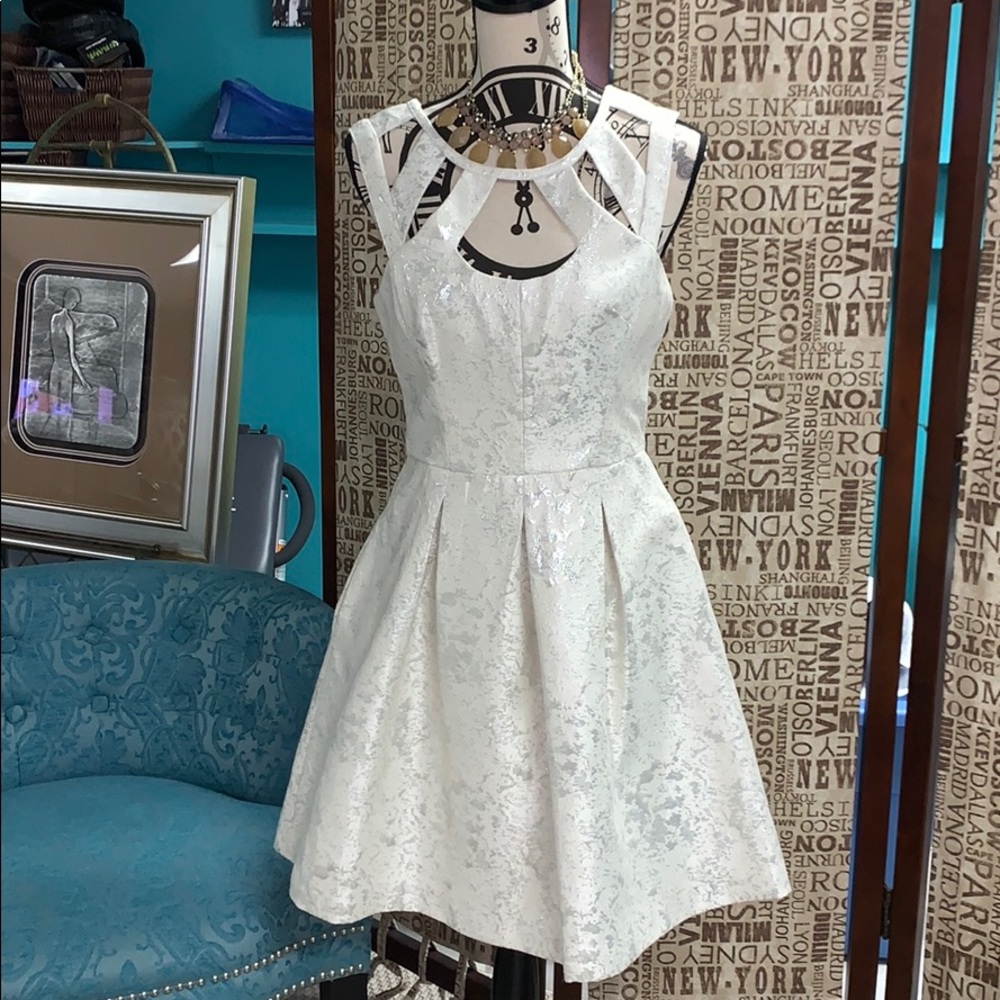 Betsy Johnson Fit and Flare Ivory and Silver